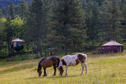 Camping municipal Le Mousserein