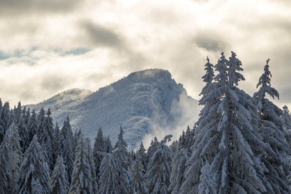 ENS de l'Isère, Les Ecouges
