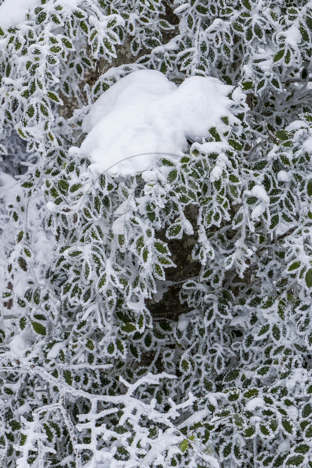 ENS de l'Isère, Les Ecouges