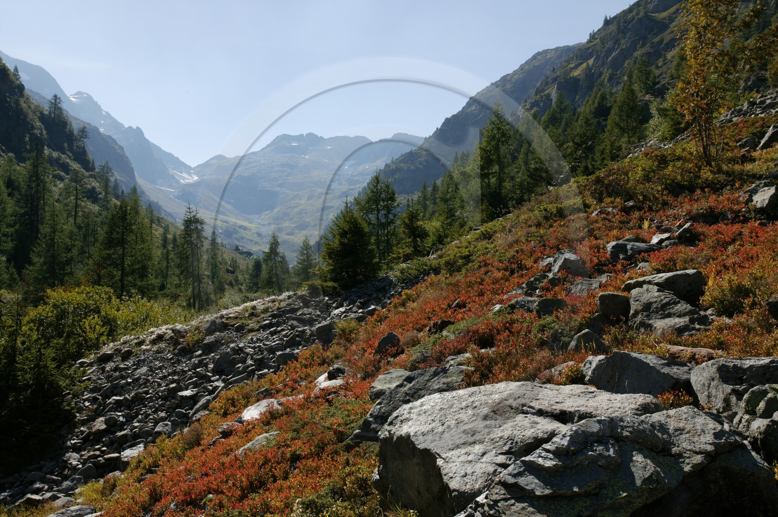 Réserve naturelle du Vallon de Bérard