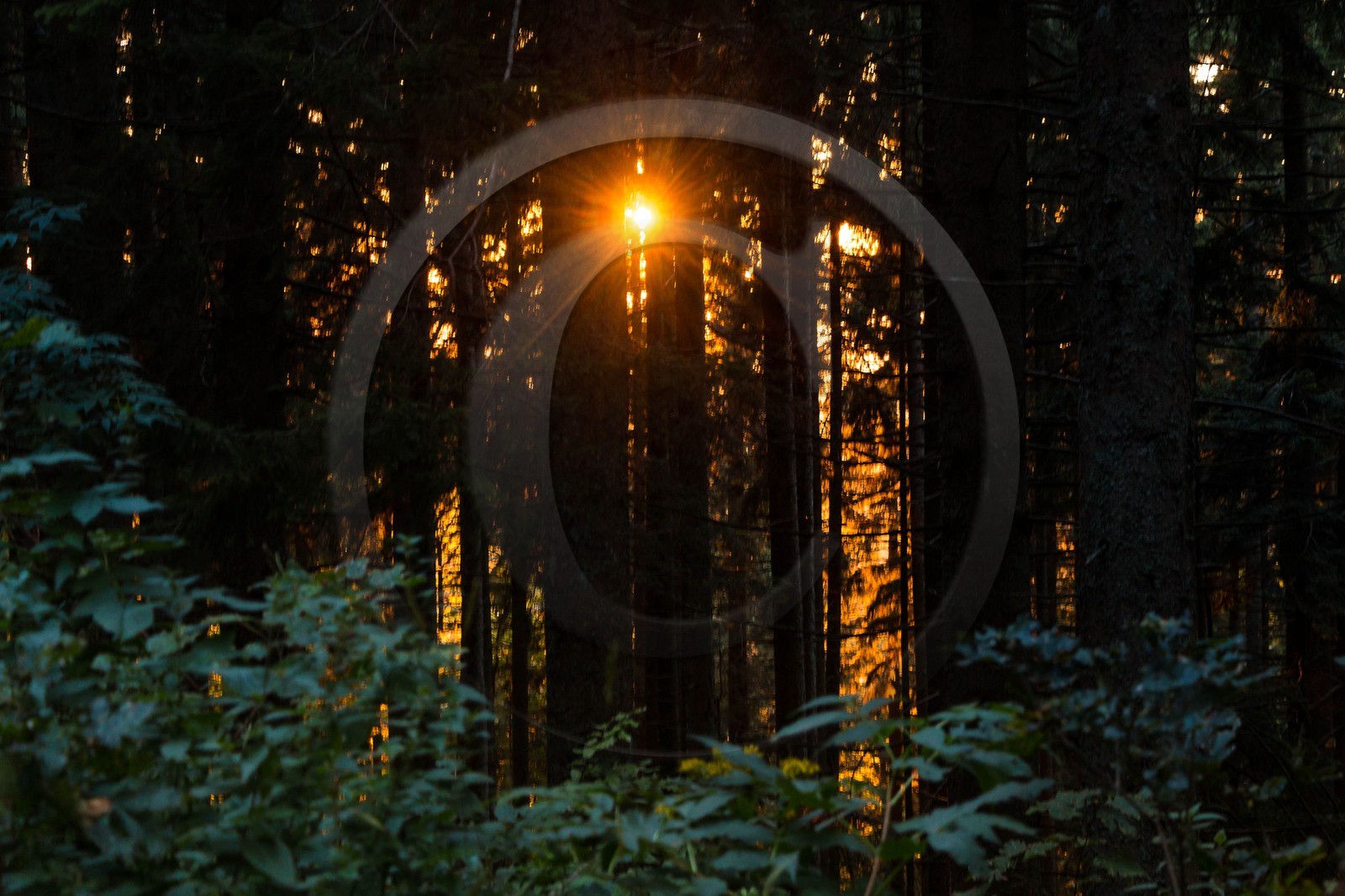 ENS de l'Isère, Les Ecouges