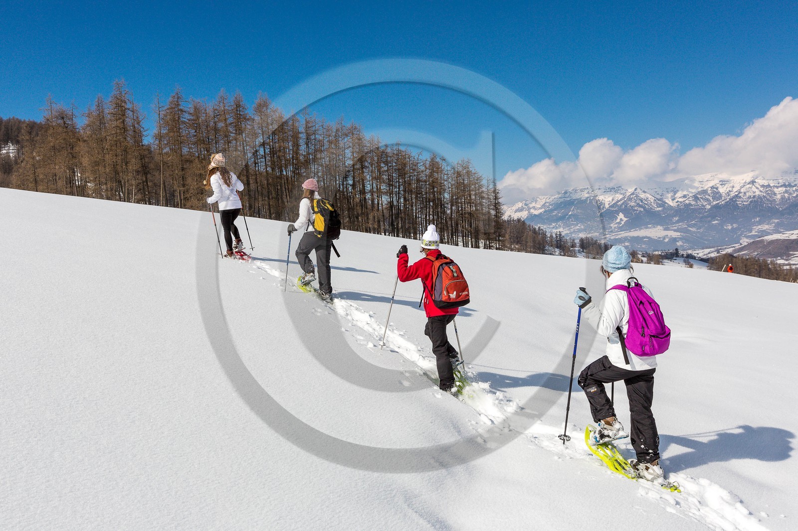 Ancelle, col de Moissière, randonnée à raquettes à neige