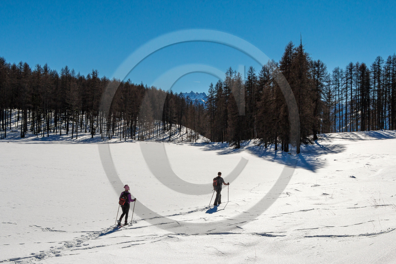 Randonnée en raquettes à neige