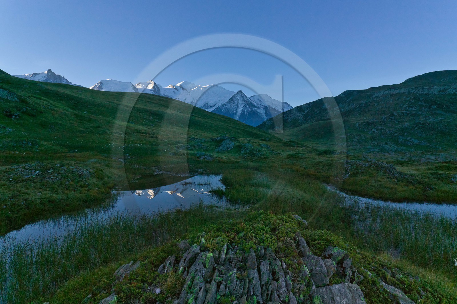 Réserve naturelle de Carlaveyron, col de Bellachat, mare, tourbière, gouille et le Mont-Blanc