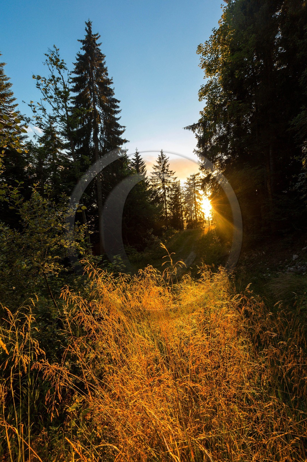 ENS de l'Isère, Les Ecouges