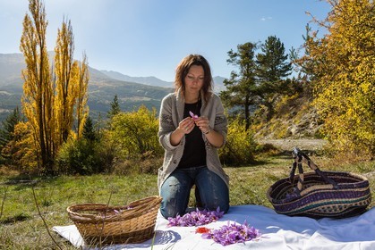Carole Prost cultive du safran qui ensoleille ses créations
