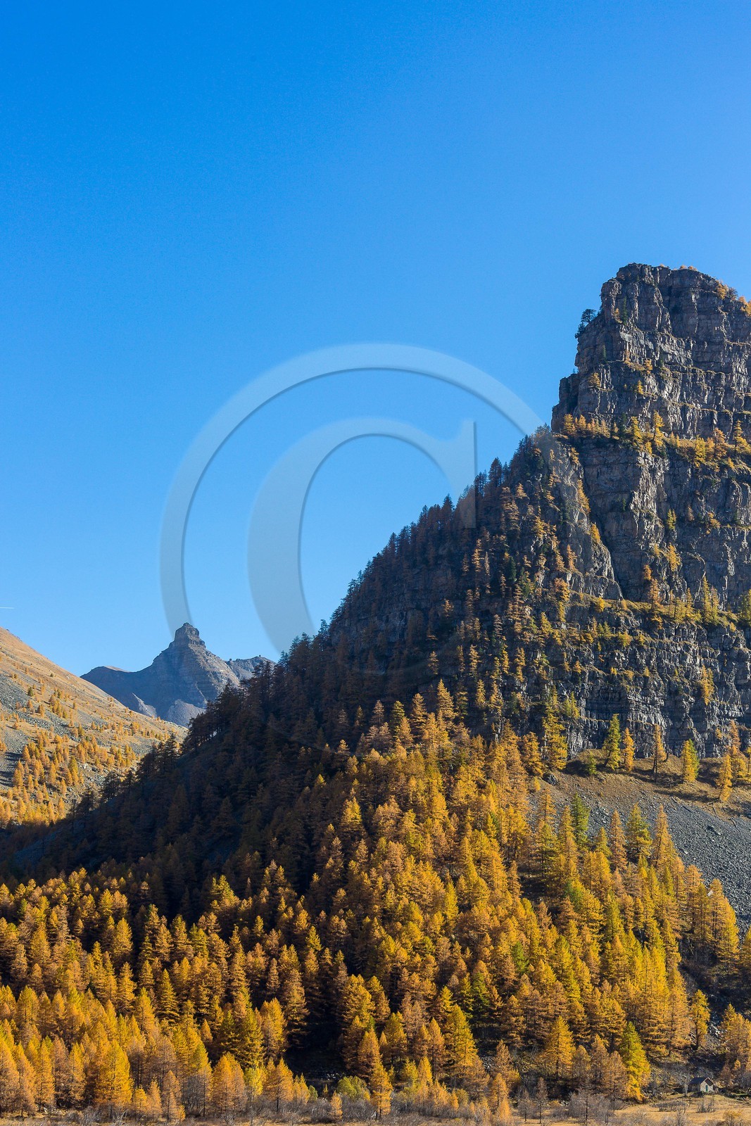 Jausiers, vallon de Pelouse, Montagne de Bonnet-Carré, Tour des Sagnes et forêt de mélèzes à l'automne