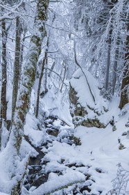 ENS de l'Isère, Les Ecouges
