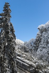ENS de l'Isère, Les Ecouges