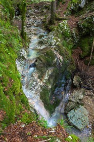 ENS de l'Isère, Les Ecouges