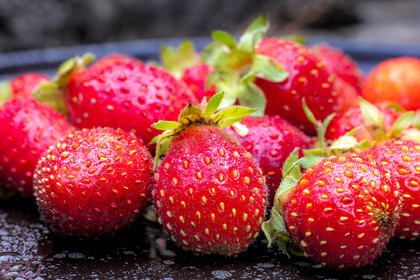 Ecrins de fruits, producteur de fruits rouges