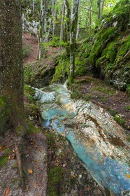 ENS de l'Isère, Les Ecouges