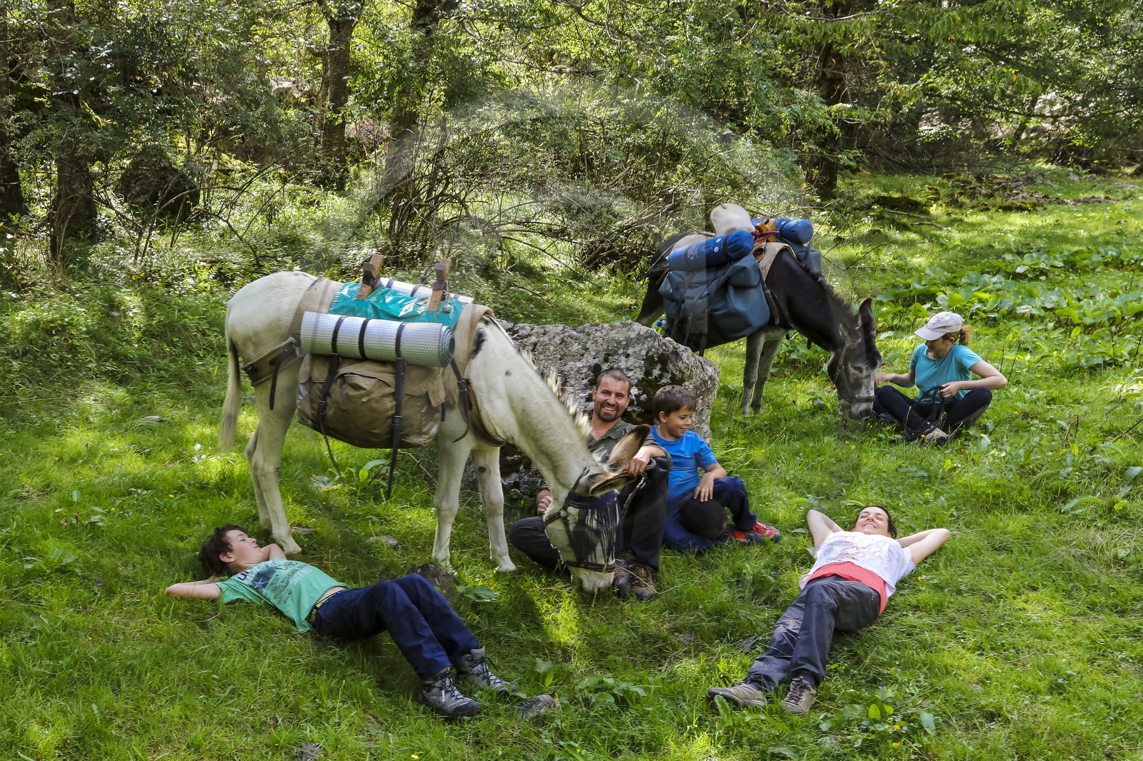 Yohann Masnada, accompagnateur ânier