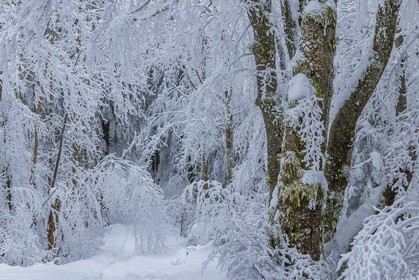 ENS de l'Isère, Les Ecouges