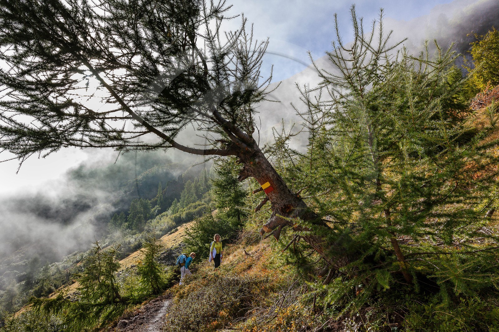 Col de la Vénasque (2487 m)