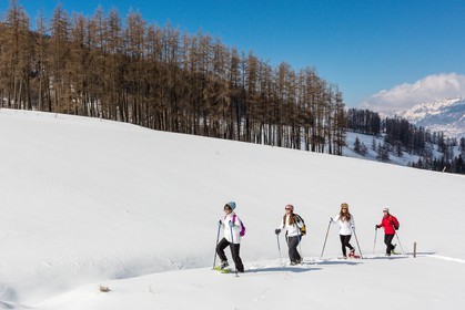 Ancelle, col de Moissière, randonnée à raquettes à neige