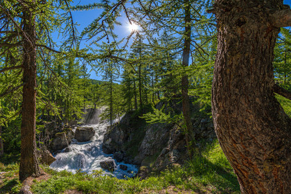 Mélezein à la Cascade de Fontcouverte