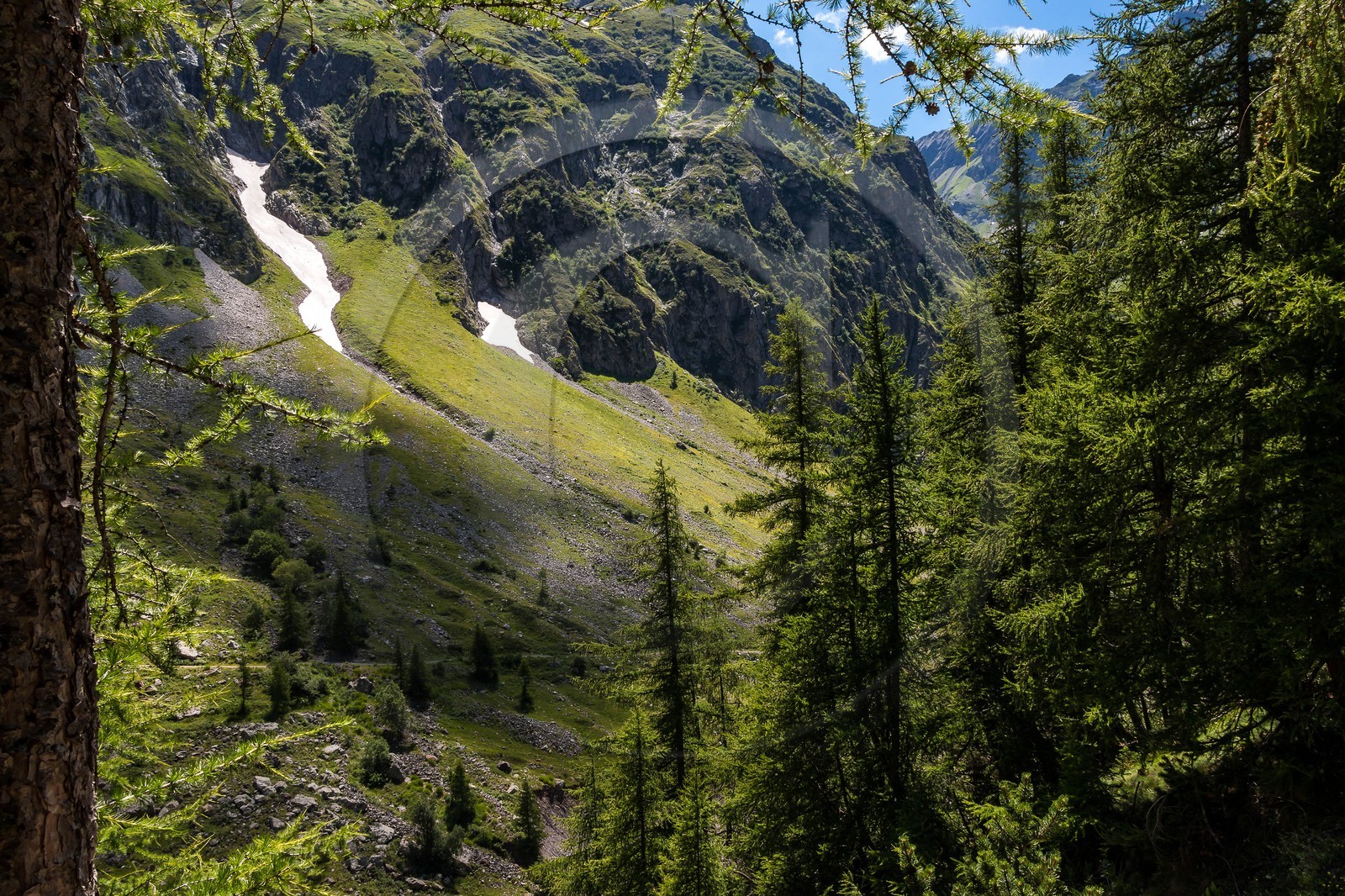 Vallée de Champoléon