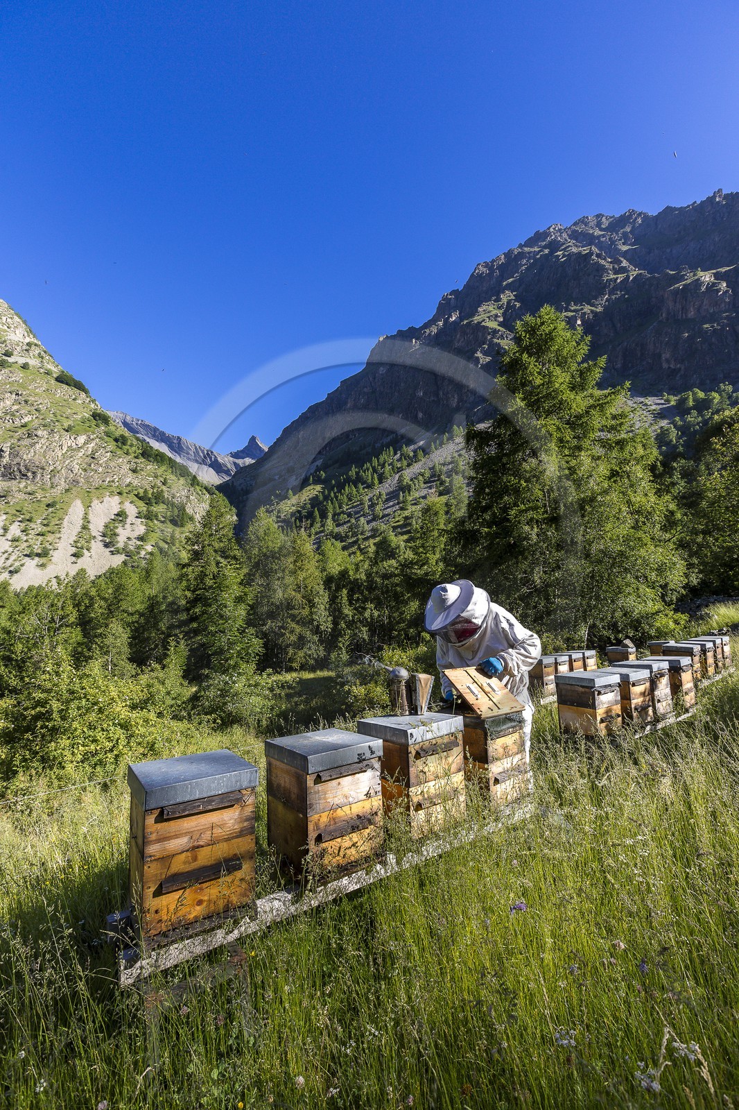 Patrick Challet apiculteur