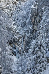 ENS de l'Isère, Les Ecouges