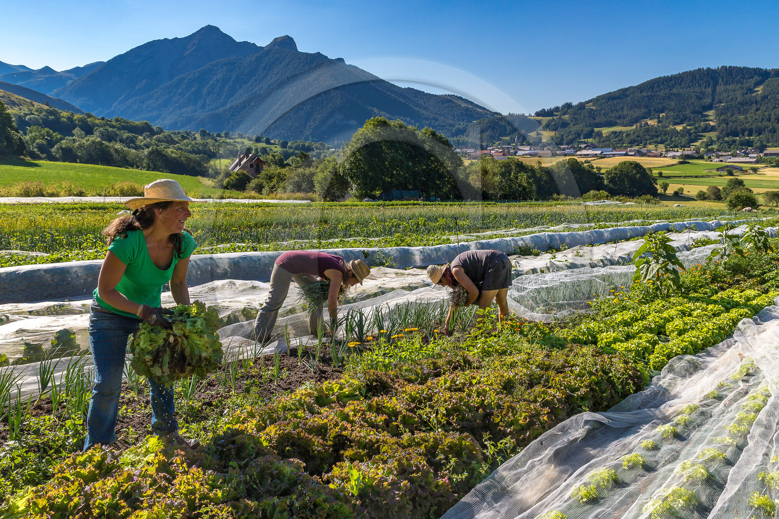LéguMontagne, Sylvie Jaussaud et  Bertille Gieu, Maraîchères bio