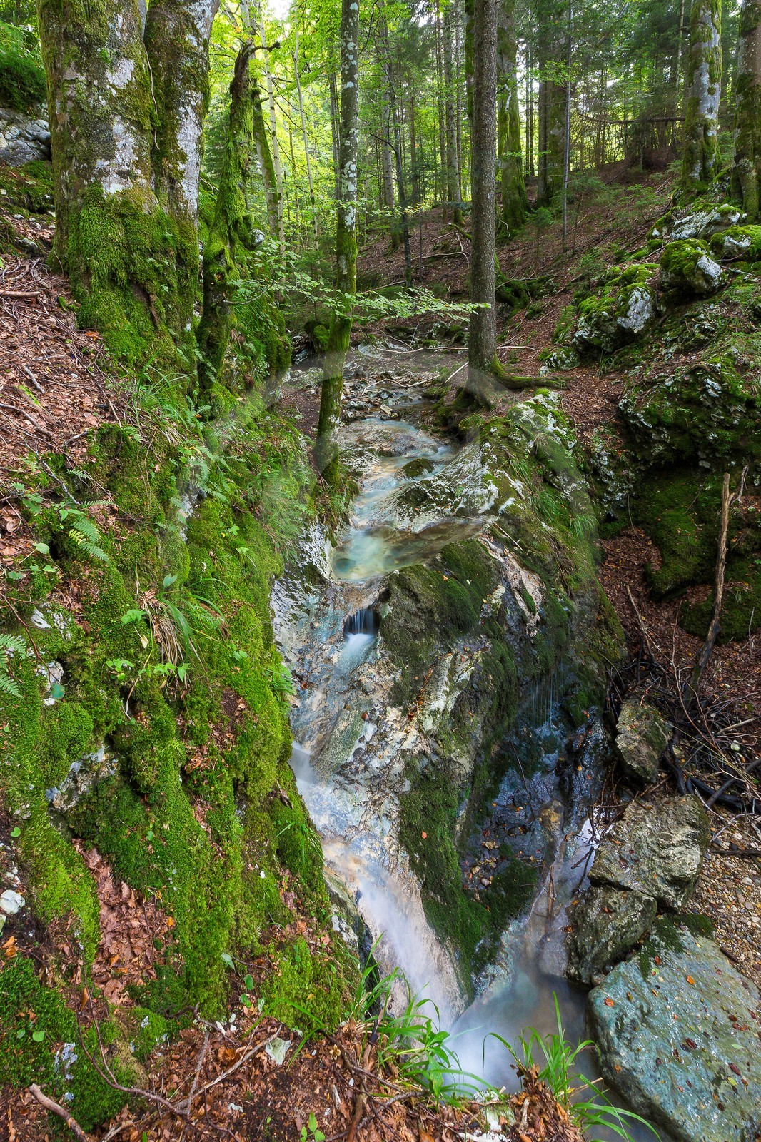 ENS de l'Isère, Les Ecouges