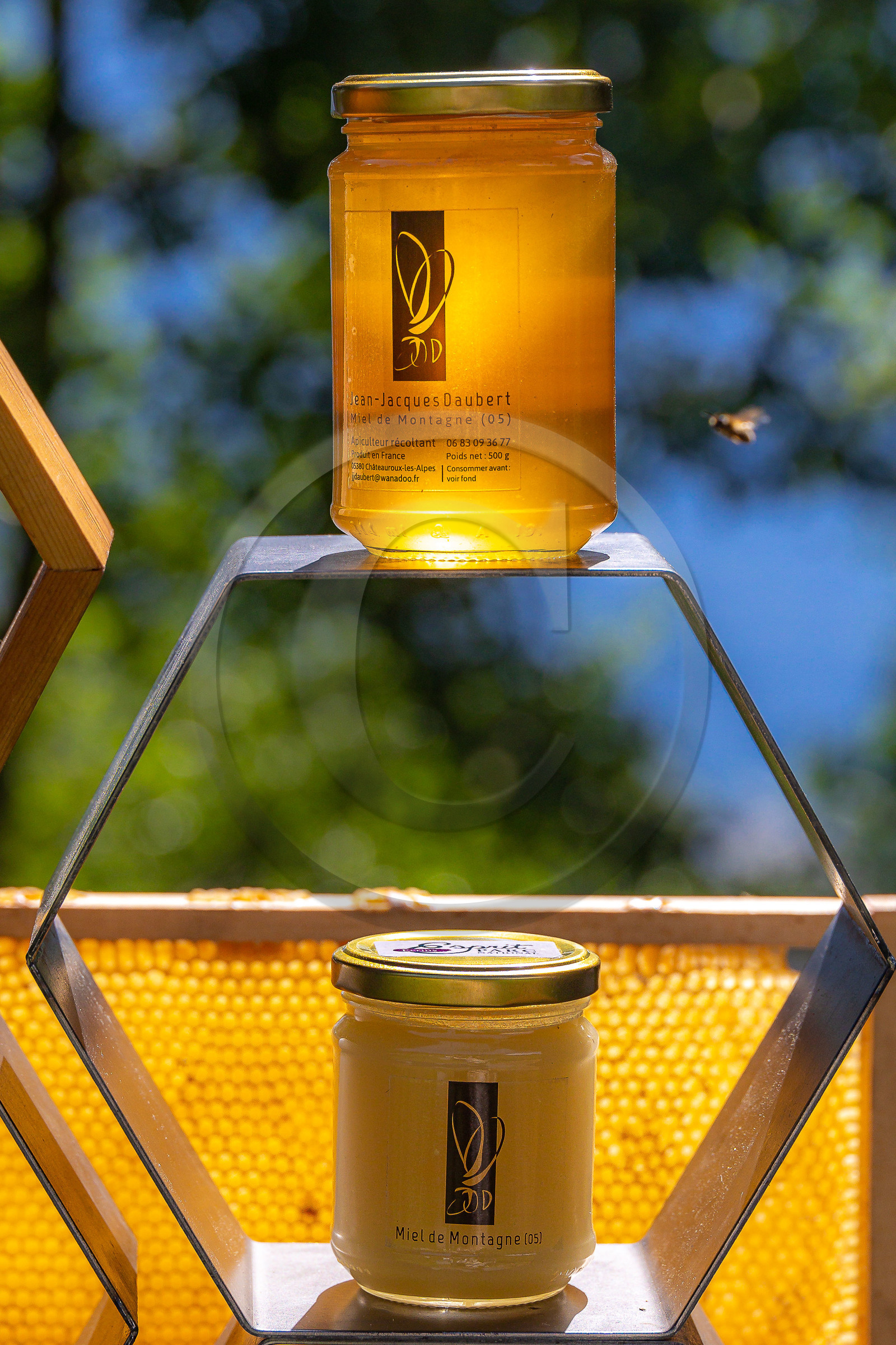 Jean-Jacques Daubert - Apiculteur