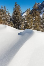 Espace naturel sensible de l'Isère, Col du Coq