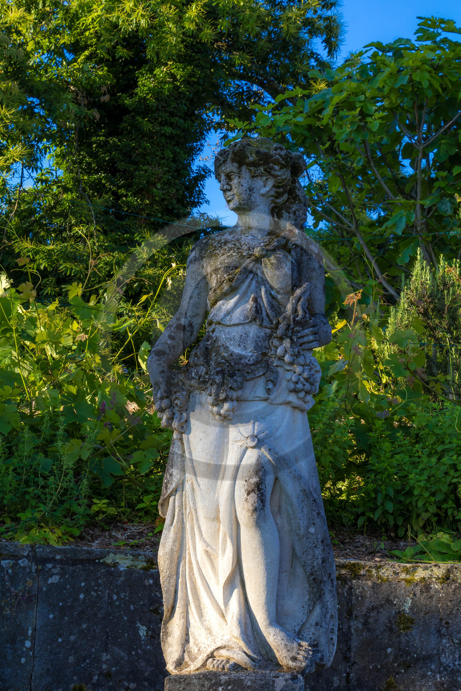 Les jardins de l'eau du Pré Curieux
