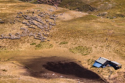 Les Monges, paturage et cabane de Clapouse