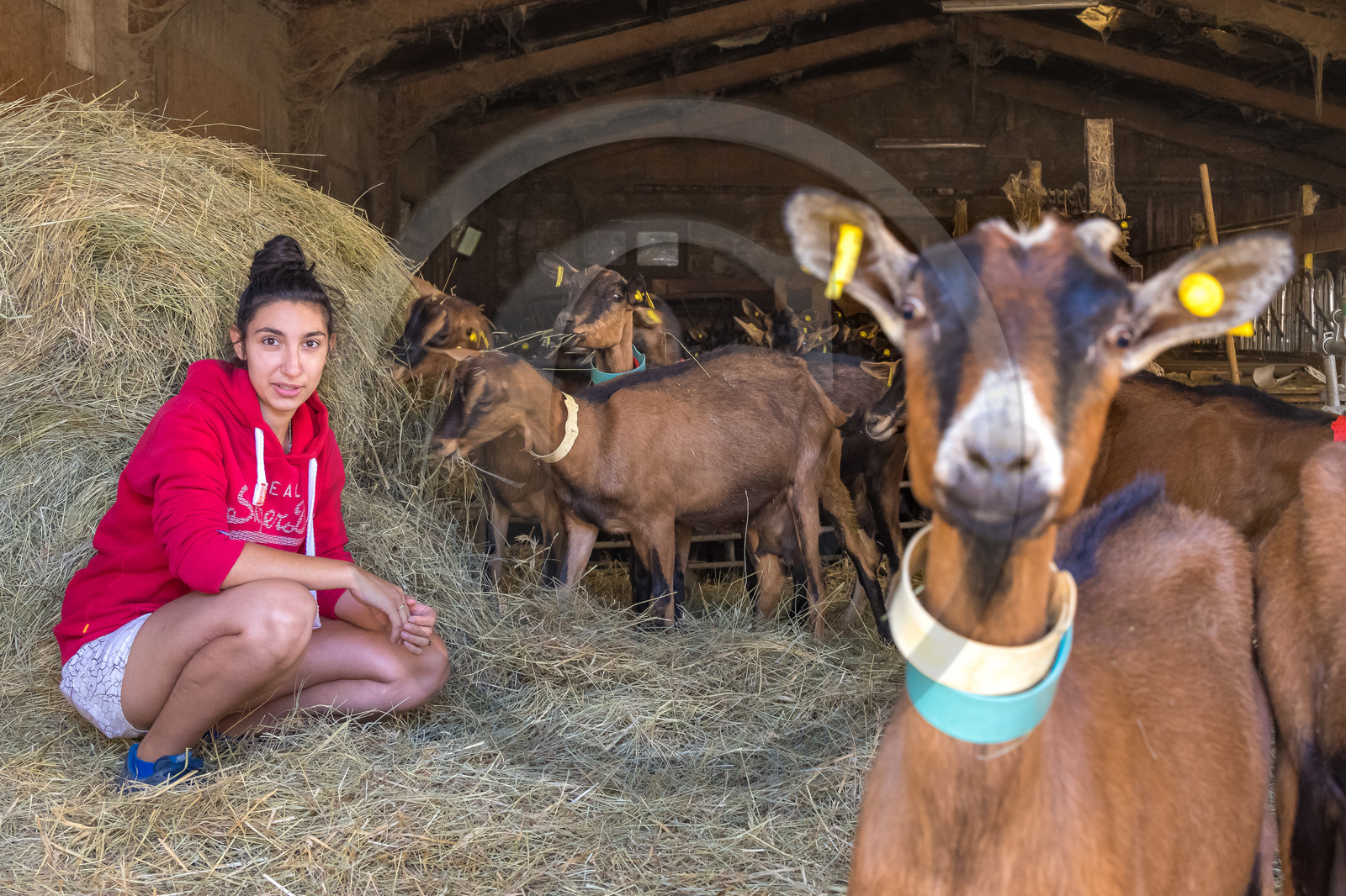 Gaec La Ferme des Ecrins