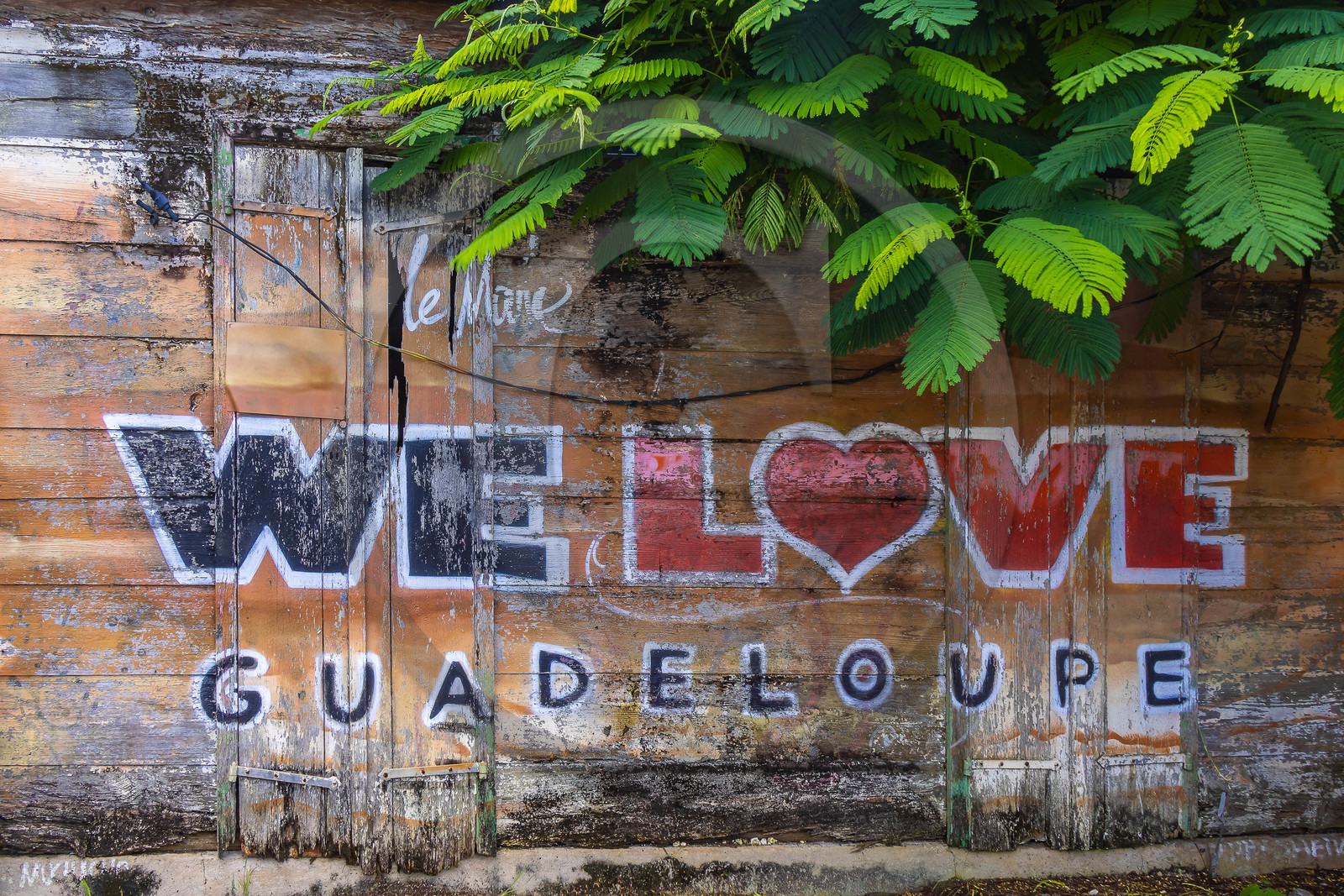 Guadeloupe, Le Moule, plage de L'Autre Bord