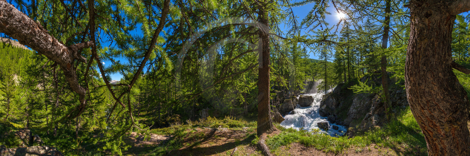 Mélezein à la Cascade de Fontcouverte