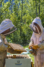 Margaux and Didier Pissard, beekeepers