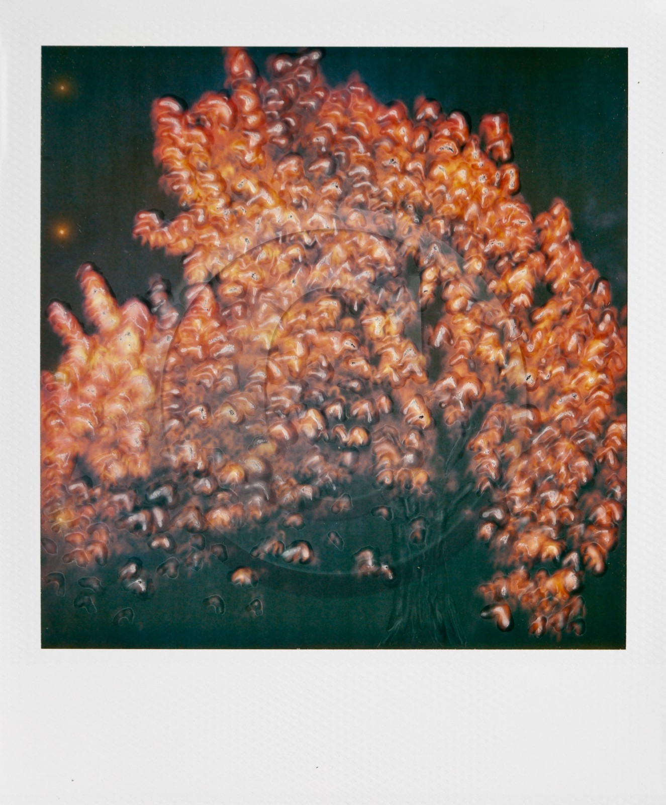 Exposition Arbres et petites forêts, éloge de la biodiversité