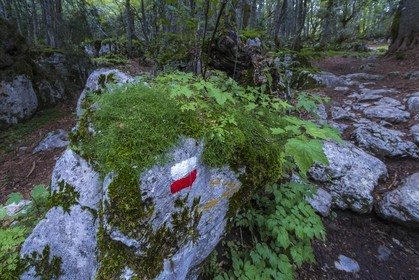 ENS de l'Isère, Plateau de la Molière et du Sornin