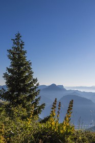 ENS de l'Isère, Plateau de la Molière et du Sornin, vue sur la Chartreuse