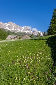 Chalets de Lacha