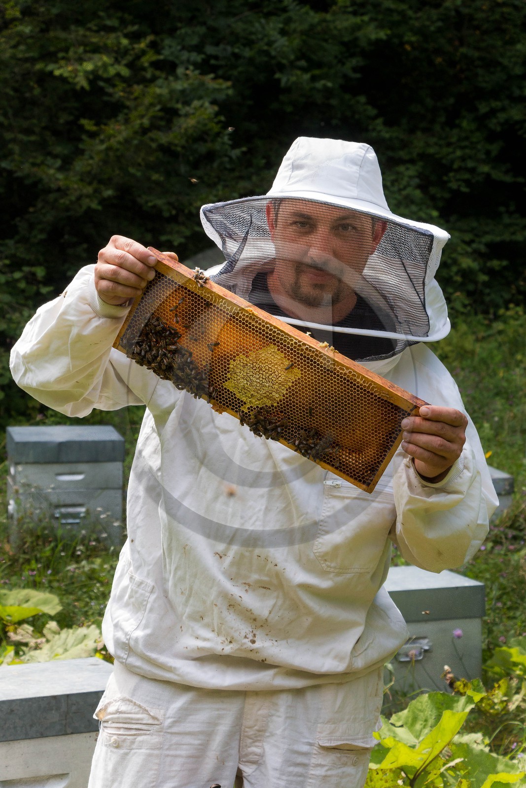 Vallée du Champsaur, miellerie Challet, Geoffrey Challet apiculteur