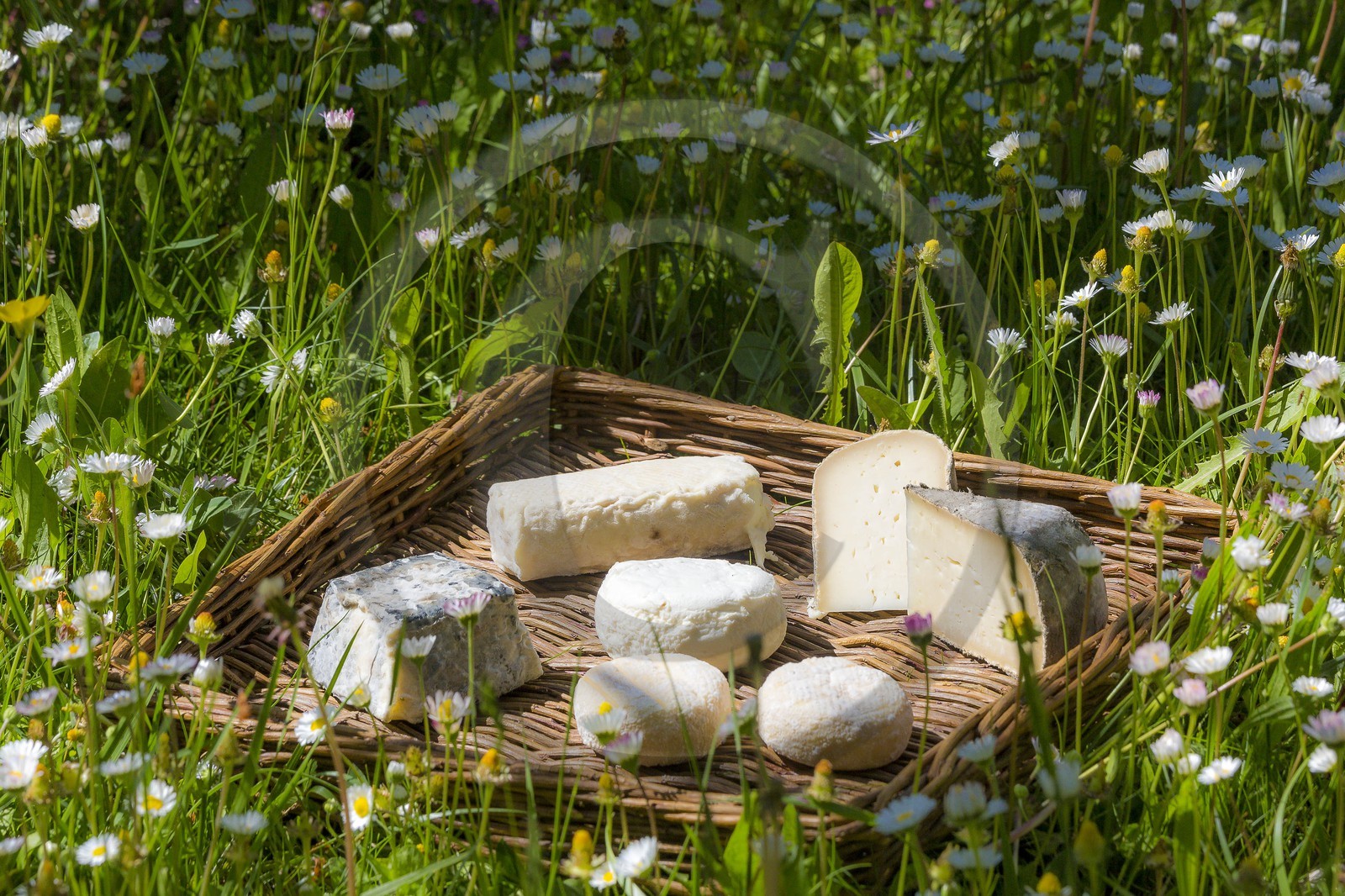 Noémie Kreiss et Julien Kaquet, Ferme des Cabrioles
