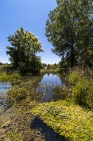 ENS de l'Isère, Les Fontaines de Beaufort