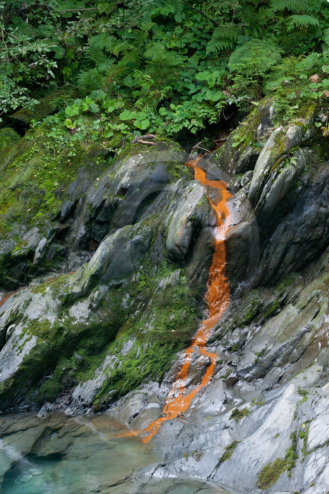 Gorges de la Diozaz, source ferrugineuse