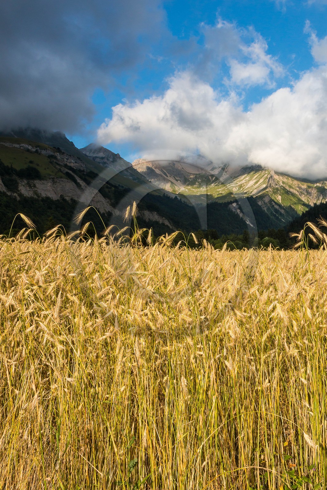 vallon de La Jarjatte