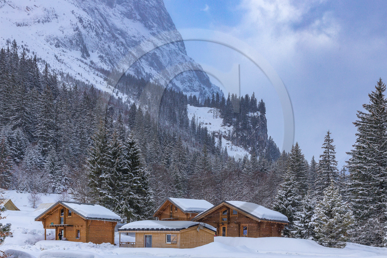 Pralognan-la-Vanoise, bouquetin en bronze