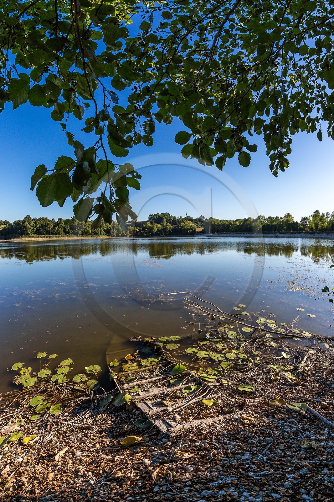 ENS de l'Isère, étang de Montjoux