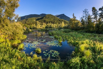 ENS de l'Isère, Tourbières de l'Herretang