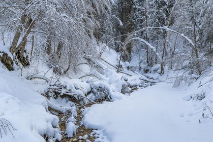 ENS de l'Isère, Les Ecouges
