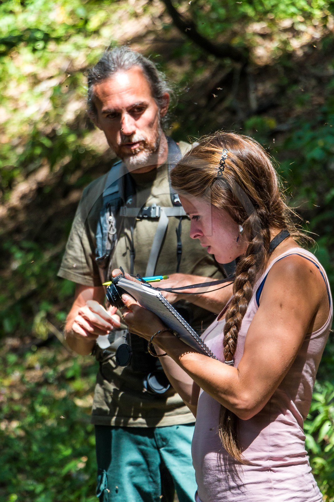 Bois du Chapitre, forêt domaniale de Gap-Chaudun