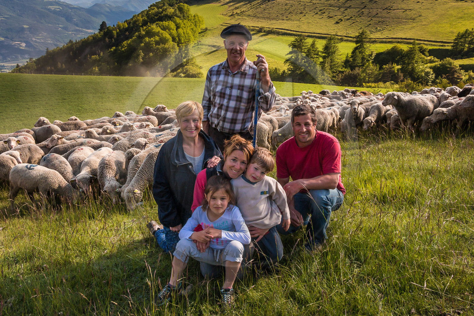 Ferme des Sonnailles, élevage et vente direct d'agneau