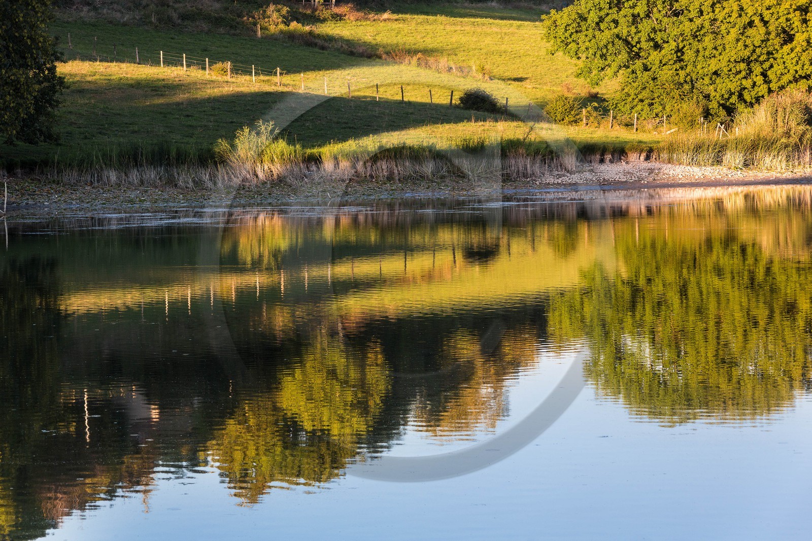 ENS de l'Isère, étang de Montjoux